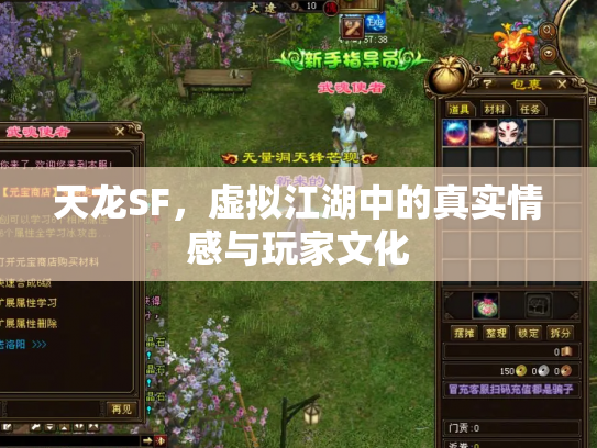 天龙SF，虚拟江湖中的真实情感与玩家文化