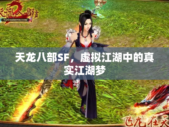 天龙八部SF，虚拟江湖中的真实江湖梦