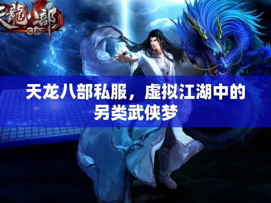 天龙八部私服，虚拟江湖中的另类武侠梦