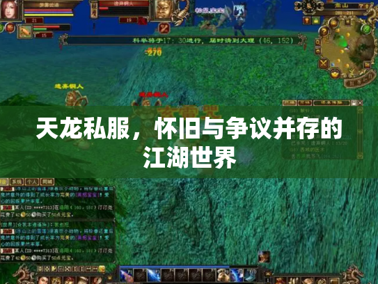 天龙私服，怀旧与争议并存的江湖世界