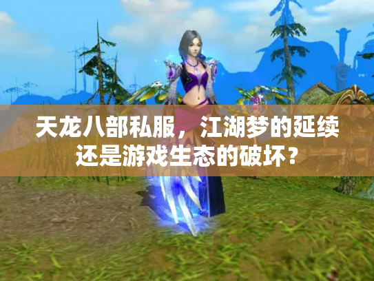 天龙八部私服，江湖梦的延续还是游戏生态的破坏？