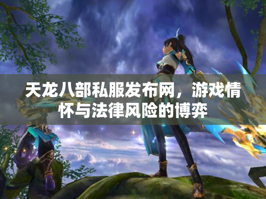 天龙八部私服发布网，游戏情怀与法律风险的博弈