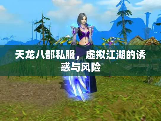 天龙八部私服，虚拟江湖的诱惑与风险