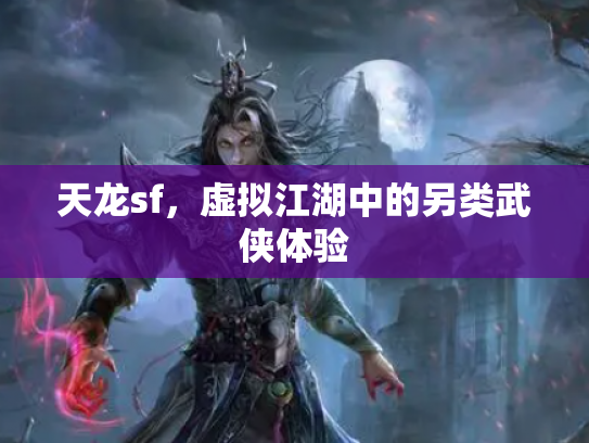 天龙sf，虚拟江湖中的另类武侠体验