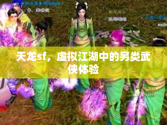 天龙sf，虚拟江湖中的另类武侠体验