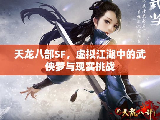 天龙八部SF，虚拟江湖中的武侠梦与现实挑战