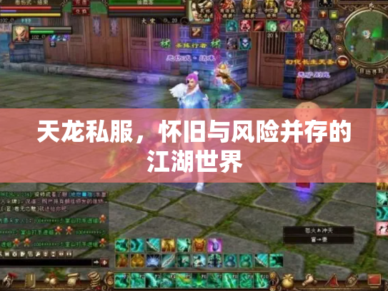 天龙私服，怀旧与风险并存的江湖世界