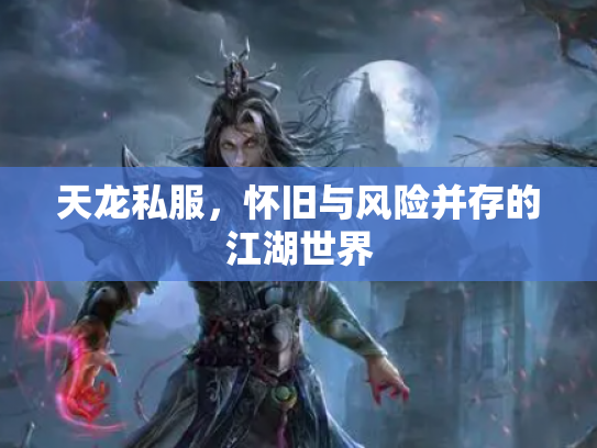 天龙私服，怀旧与风险并存的江湖世界