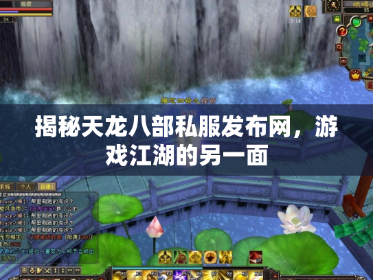 揭秘天龙八部私服发布网，游戏江湖的另一面