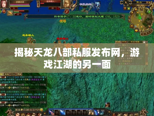 揭秘天龙八部私服发布网，游戏江湖的另一面