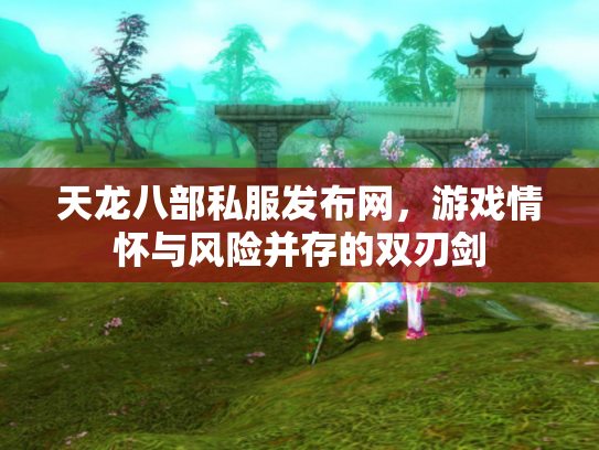 天龙八部私服发布网，游戏情怀与风险并存的双刃剑