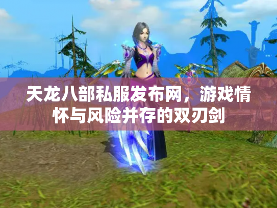 天龙八部私服发布网，游戏情怀与风险并存的双刃剑