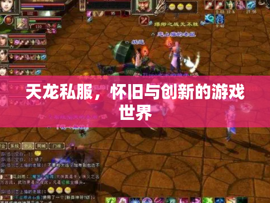 天龙私服，怀旧与创新的游戏世界