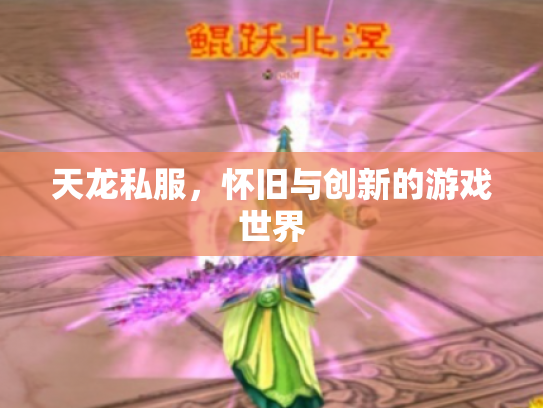 天龙私服，怀旧与创新的游戏世界