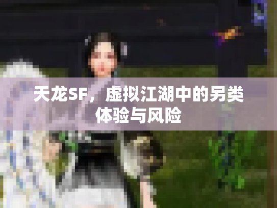 天龙SF，虚拟江湖中的另类体验与风险