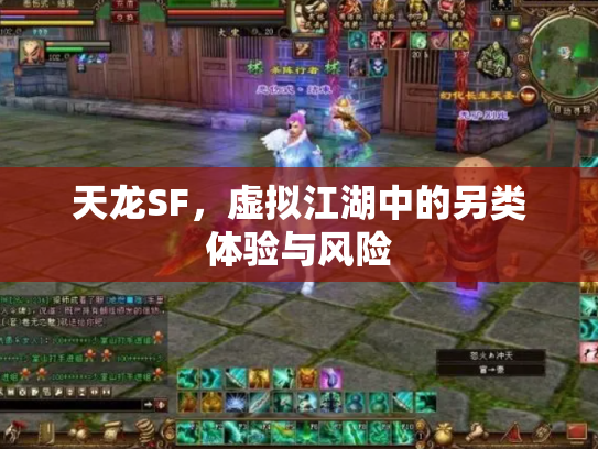 天龙SF，虚拟江湖中的另类体验与风险