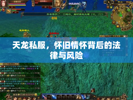 天龙私服，怀旧情怀背后的法律与风险