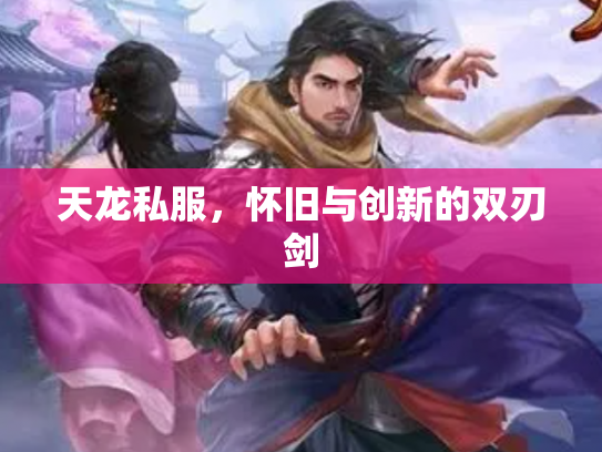 天龙私服，怀旧与创新的双刃剑