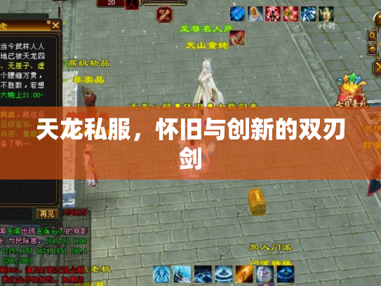天龙私服，怀旧与创新的双刃剑