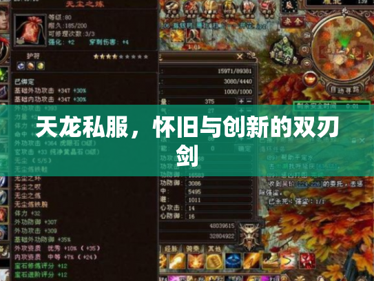 天龙私服，怀旧与创新的双刃剑