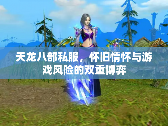 天龙八部私服，怀旧情怀与游戏风险的双重博弈
