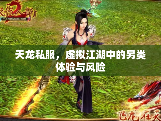 天龙私服，虚拟江湖中的另类体验与风险