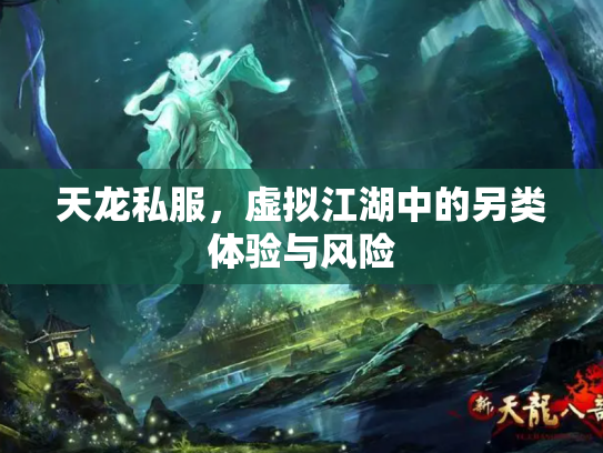天龙私服，虚拟江湖中的另类体验与风险