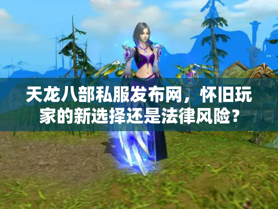 天龙八部私服发布网，怀旧玩家的新选择还是法律风险？