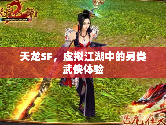 天龙SF，虚拟江湖中的另类武侠体验