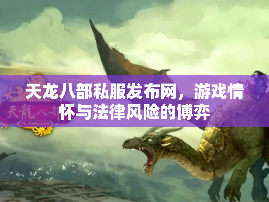 天龙八部私服发布网，游戏情怀与法律风险的博弈