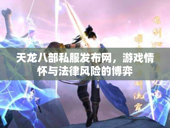 天龙八部私服发布网，游戏情怀与法律风险的博弈