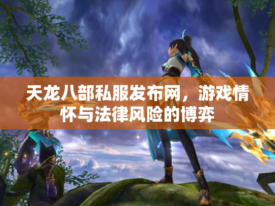 天龙八部私服发布网，游戏情怀与法律风险的博弈