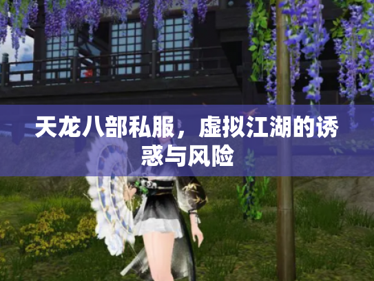 天龙八部私服，虚拟江湖的诱惑与风险