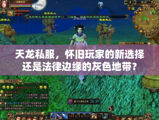天龙私服，怀旧玩家的新选择还是法律边缘的灰色地带？