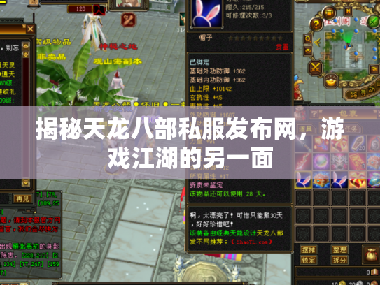 揭秘天龙八部私服发布网，游戏江湖的另一面