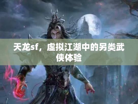 天龙sf，虚拟江湖中的另类武侠体验