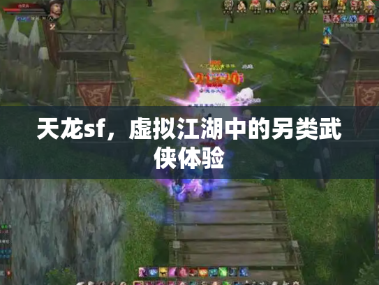 天龙sf，虚拟江湖中的另类武侠体验