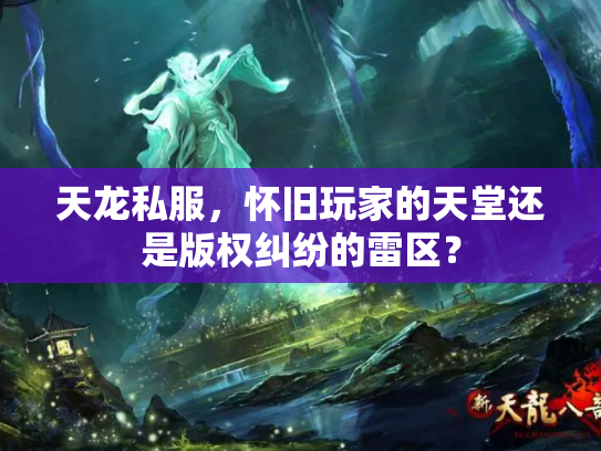 天龙私服，怀旧玩家的天堂还是版权纠纷的雷区？