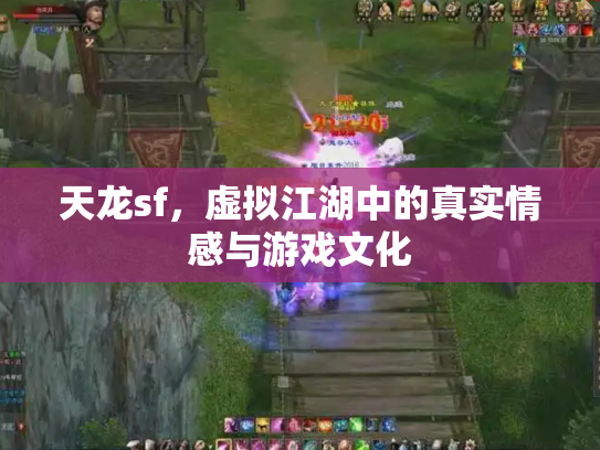 天龙sf，虚拟江湖中的真实情感与游戏文化