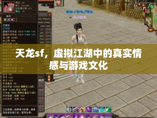 天龙sf，虚拟江湖中的真实情感与游戏文化