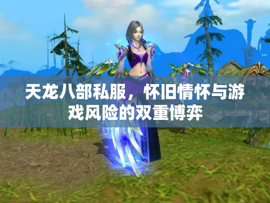 天龙八部私服，怀旧情怀与游戏风险的双重博弈