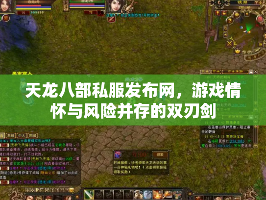 天龙八部私服发布网，游戏情怀与风险并存的双刃剑