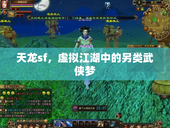 天龙sf，虚拟江湖中的另类武侠梦