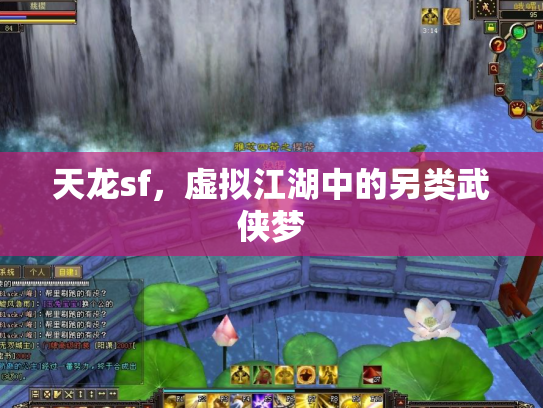 天龙sf，虚拟江湖中的另类武侠梦