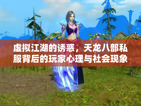 虚拟江湖的诱惑，天龙八部私服背后的玩家心理与社会现象