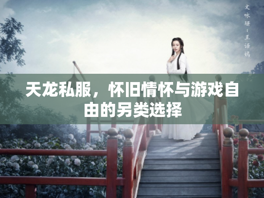 天龙私服，怀旧情怀与游戏自由的另类选择