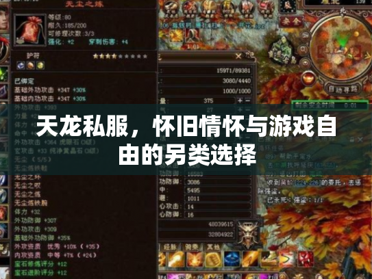 天龙私服，怀旧情怀与游戏自由的另类选择