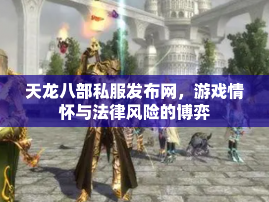 天龙八部私服发布网，游戏情怀与法律风险的博弈