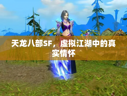 天龙八部SF，虚拟江湖中的真实情怀