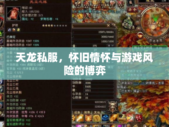 天龙私服，怀旧情怀与游戏风险的博弈